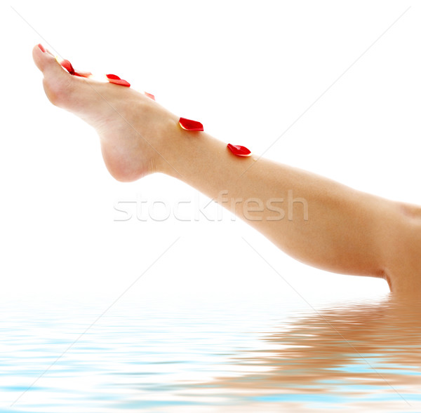 leg with red rose petals in water Stock photo © dolgachov