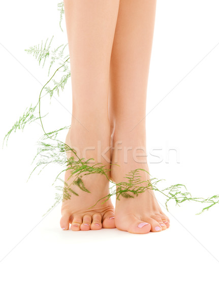 female legs with green plant Stock photo © dolgachov