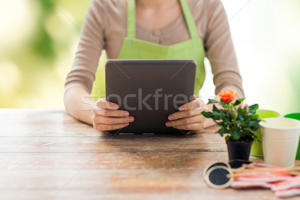 Stock photo: close up of woman or gardener holding tablet pc