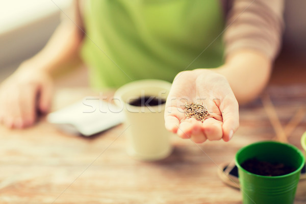 Stockfoto: Vrouw · hand · zaden · mensen