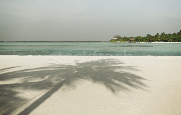 Maldive isola spiaggia palma villa viaggio Foto d'archivio © dolgachov