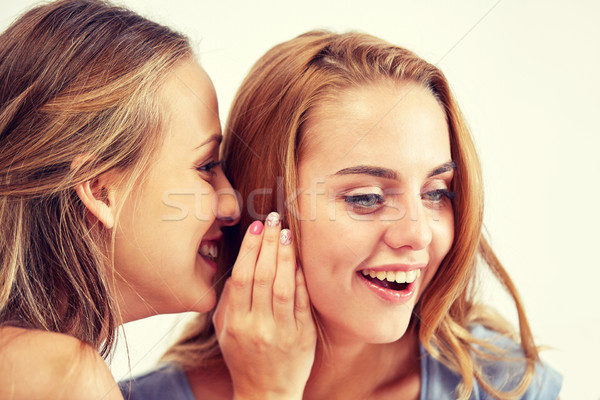 Gelukkig jonge vrouwen praatjes home vriendschap Stockfoto © dolgachov