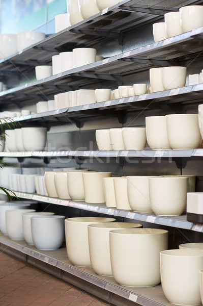 flower pots on shelves at garden shop Stock photo © dolgachov