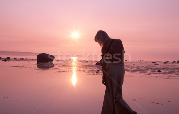 pink sunset Stock photo © dolgachov