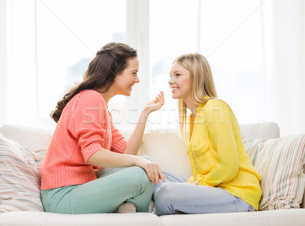 two girlfriends having a talk at home Stock photo © dolgachov