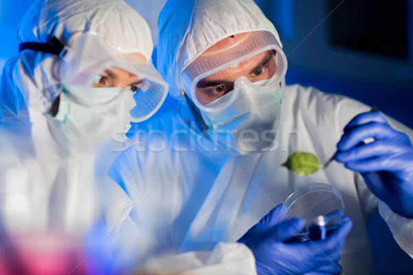 close up of scientists with green leaf in lab Stock photo © dolgachov