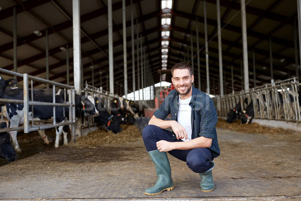 man or farmer with cows in cowshed on dairy farm Stock photo © dolgachov