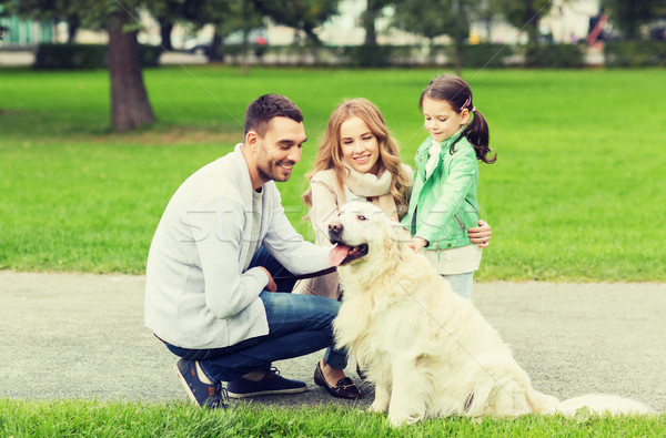 Boldog család labrador retriever kutya park család díszállat Stock fotó © dolgachov