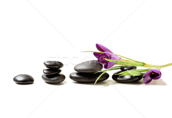 Stock foto: Massage · Steine · Blumen · spa · Schönheit · Natur