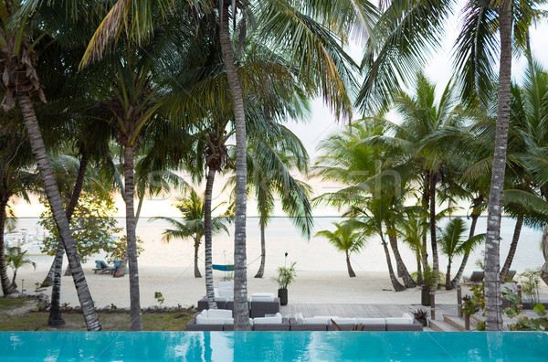 swimming pool on tropical beach Stock photo © dolgachov