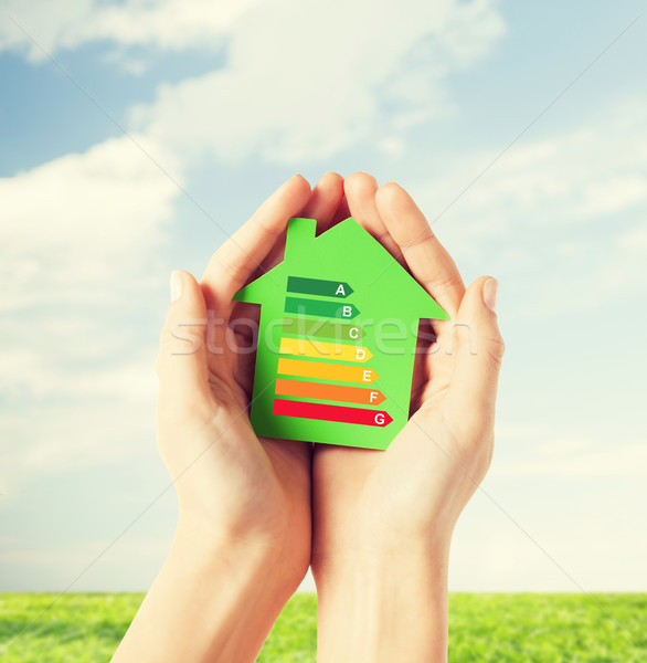 hands holding green paper house Stock photo © dolgachov