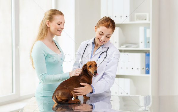 Stock foto: Glücklich · Frau · Hund · Arzt · Tierarzt · Klinik