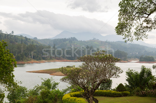 view to lake or river from land hills on Sri Lanka Stock photo © dolgachov