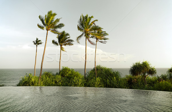 Vedere infinit margine piscină ocean palmele Imagine de stoc © dolgachov