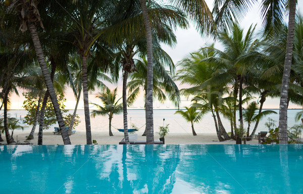 swimming pool on tropical beach Stock photo © dolgachov