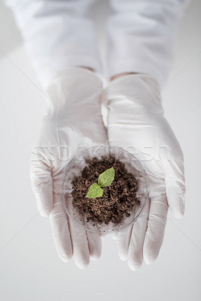 close up of scientist hands with plant and soil  Stock photo © dolgachov