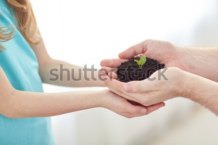 Stock photo: close up of father and girl hands holding sprout