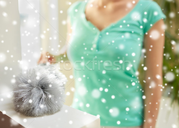 close up of woman with duster cleaning at home Stock photo © dolgachov