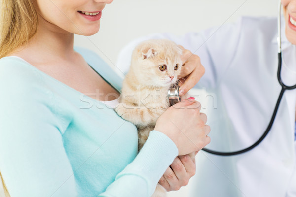 close up of vet with stethoscope and cat at clinic Stock photo © dolgachov