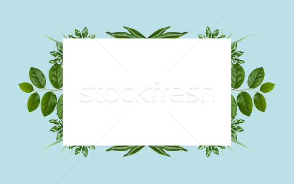 white blank space and green leaves on blue Stock photo © dolgachov