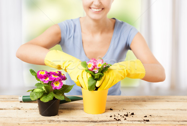 Stock photo: housewife with flower in pot and gardening set