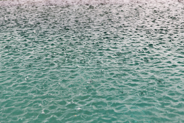 water surface with raindrops at rainy day Stock photo © dolgachov