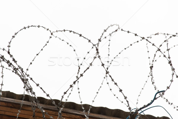 barb wire fence over gray sky Stock photo © dolgachov
