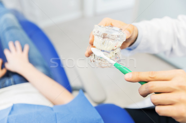 close up of dentist showing teeth maquette to girl Stock photo © dolgachov