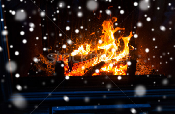 close up of firewood burning in fireplace and snow Stock photo © dolgachov