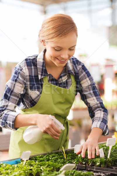 woman with sprayer and seedling in greenhouse Stock photo © dolgachov