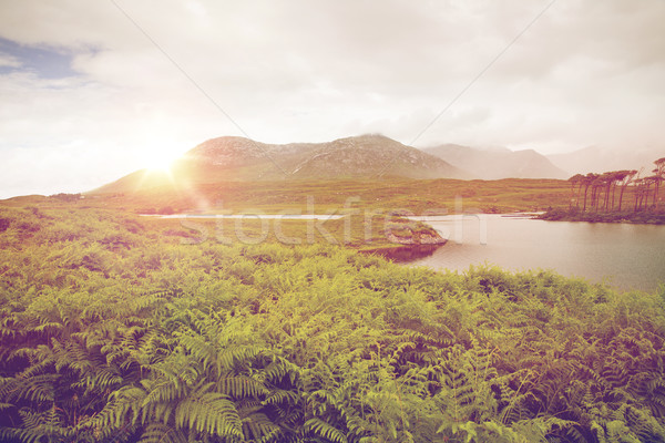 Vedere insulă lac râu Irlanda natură Imagine de stoc © dolgachov