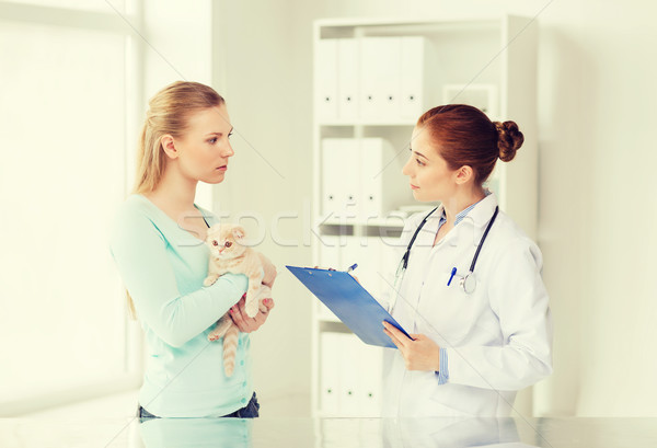 Foto stock: Mulher · gato · médico · veterinário · clínica · medicina