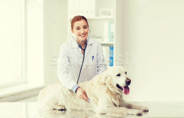 Glücklich Frau Hund Arzt Tierarzt Klinik Stock foto © dolgachov