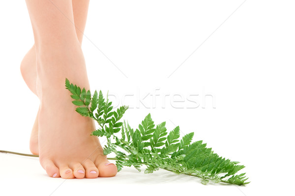 female feet with green leaf Stock photo © dolgachov