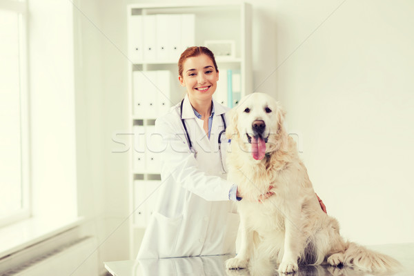 Szczęśliwy lekarza aporter psa weterynarz kliniki Zdjęcia stock © dolgachov