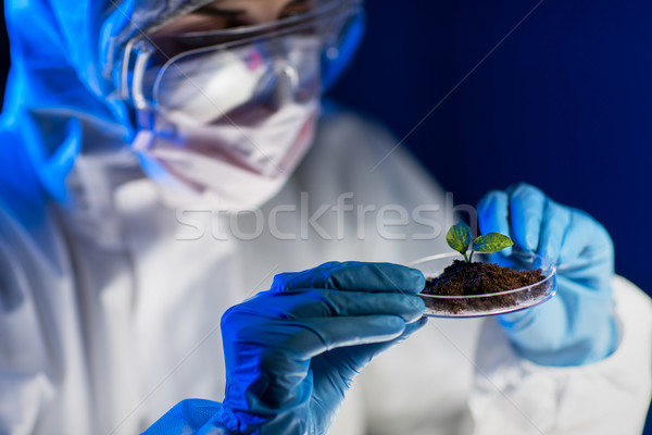 關閉 科學家 植物 土壤 實驗室 科學 商業照片 © dolgachov