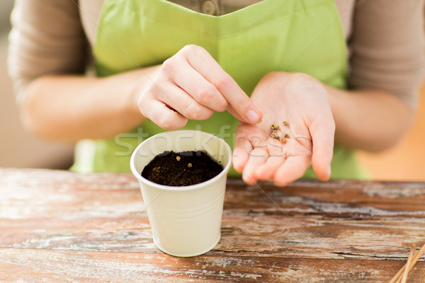Femme semailles semences sol pot [[stock_photo]] © dolgachov