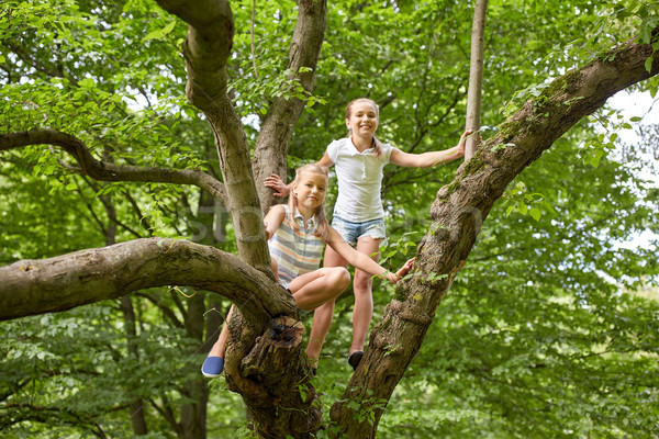 two happy girls climbing up tree in summer park Stock photo © dolgachov