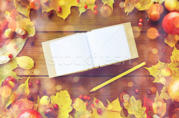 Vacío nota libro lápiz hojas de otoño naturaleza Foto stock © dolgachov