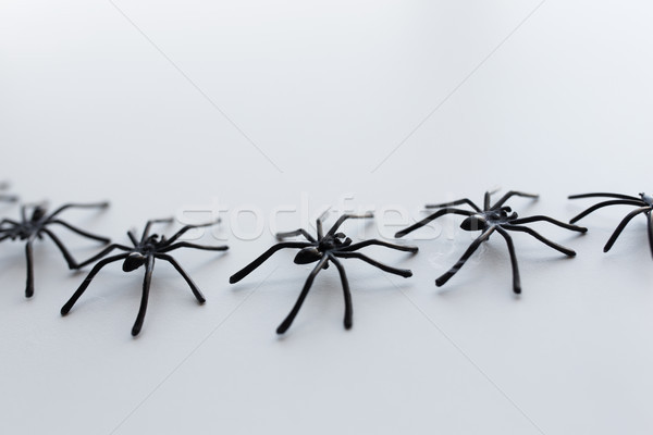 Schwarz Spielzeug Spinnen Kette weiß Halloween Stock foto © dolgachov