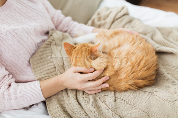 close up of owner with red cat in bed at home Stock photo © dolgachov