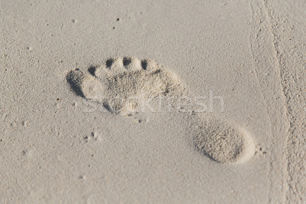 Umani impronta spiaggia di sabbia viaggio avventura Foto d'archivio © dolgachov