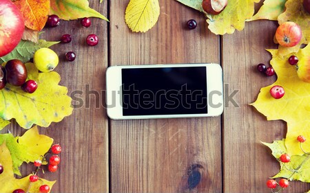smartphone with autumn leaves, fruits and berries Stock photo © dolgachov