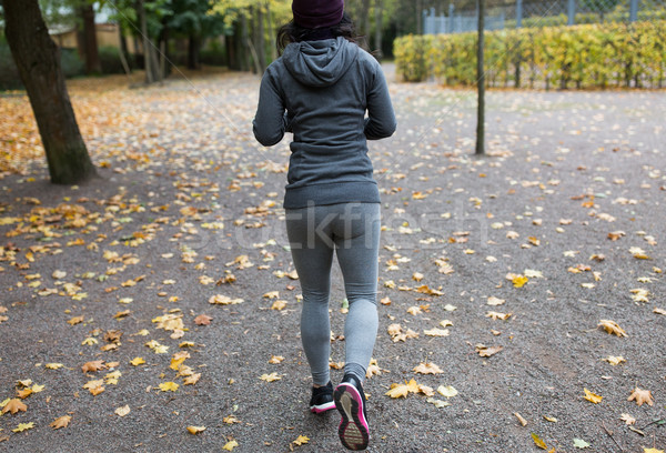 Stock foto: Läuft · Herbst · Park · Fitness