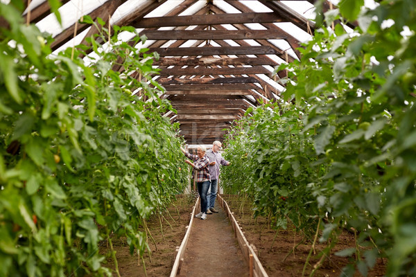 happy senior couple working at farm greenhouse Stock photo © dolgachov
