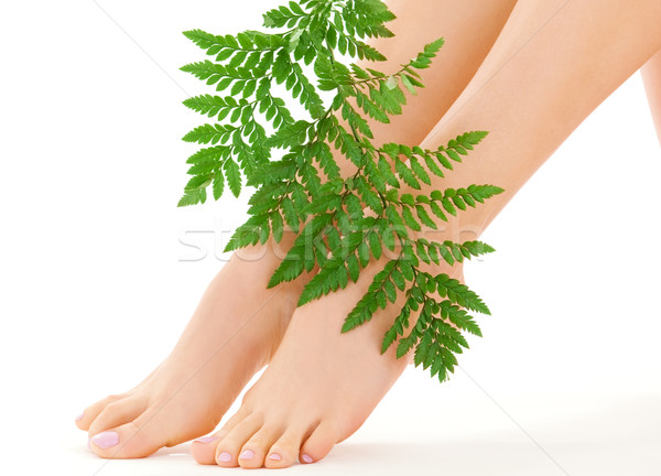 Homme pieds feuille verte photos blanche femme [[stock_photo]] © dolgachov