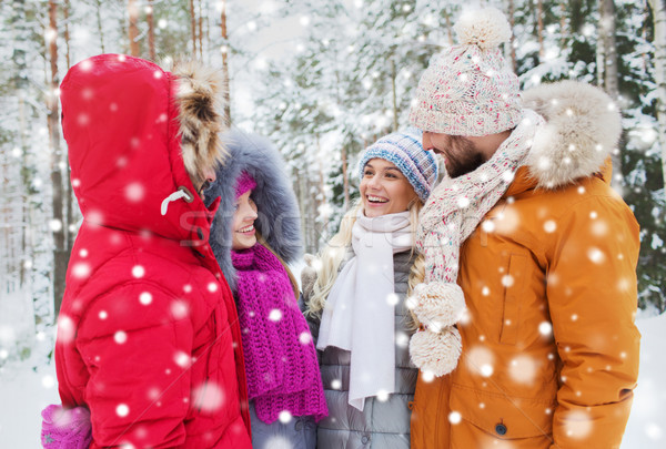 Gruppe lächelnd Männer Frauen Winter Wald Stock foto © dolgachov