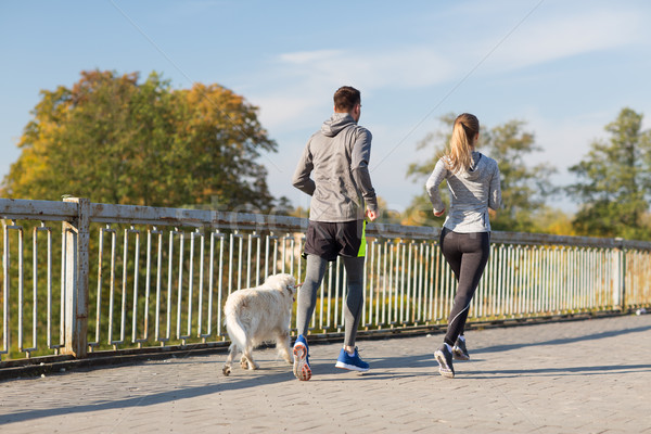 couple with dog running outdoors Stock photo © dolgachov