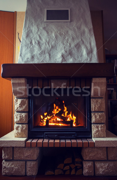 close up of burning fireplace at home Stock photo © dolgachov