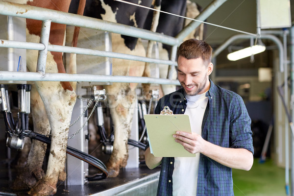 man with clipboard and milking cows on dairy farm Stock photo © dolgachov